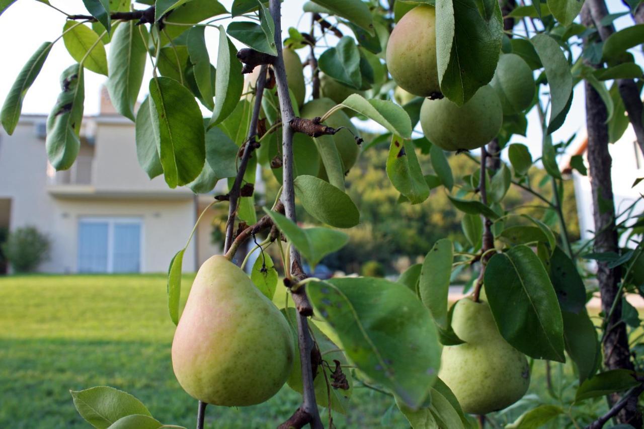 Villa Luka Buna Εξωτερικό φωτογραφία